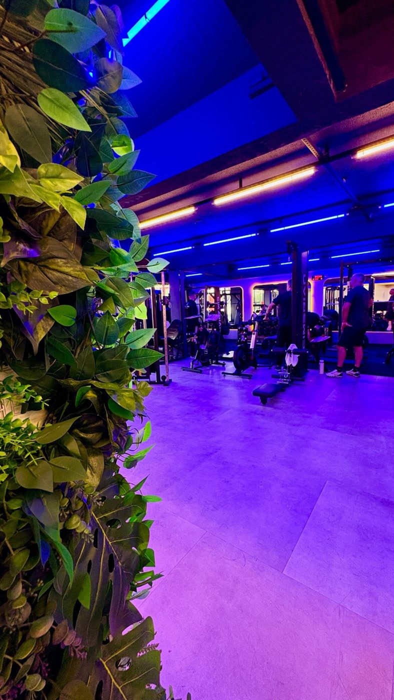 Metodologia Blue — ambiente Blue da Villa Vip