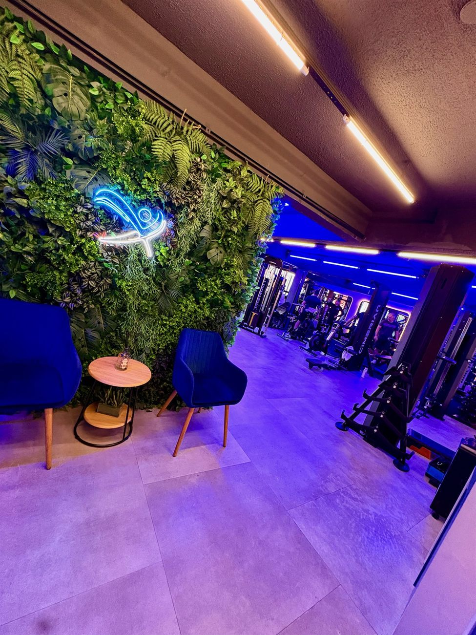 Estrutura da Villa Vip Academia — ambiente premium